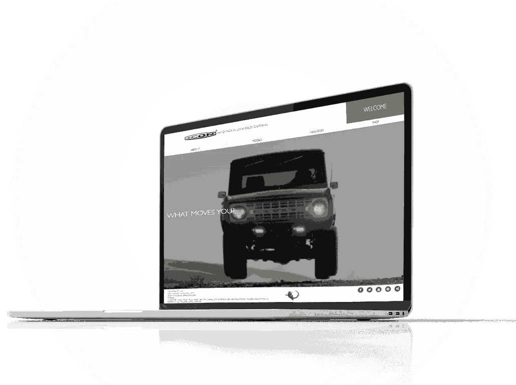 Icon-Portfolio