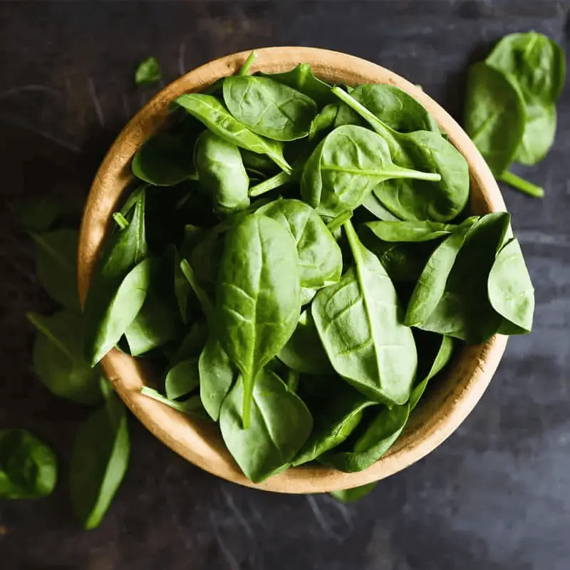 Nutrition-image-3
