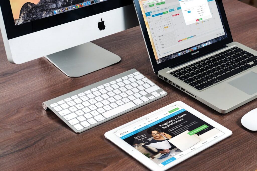Web Development Experience