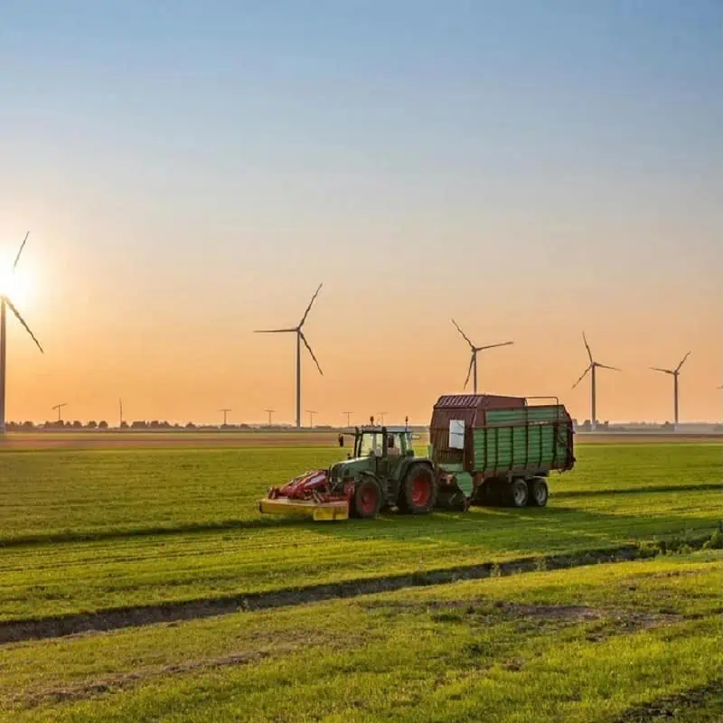 agriculture