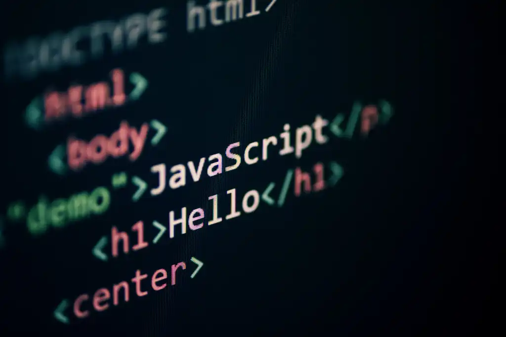 JavaScript Frontend Development